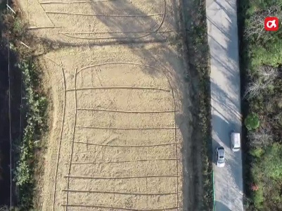 干到裂开！200多亩油菜地得“及时雨”救急