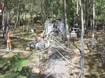 【国庆海采】我们的新生活