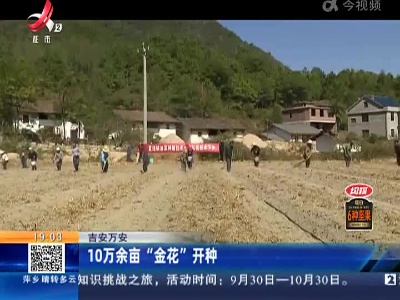都市现场20221018