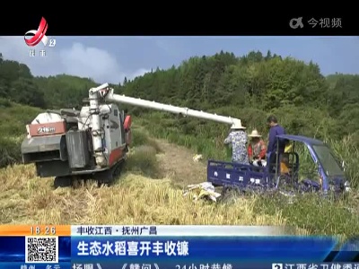 【丰收江西】抚州广昌：生态水稻喜开丰收镰