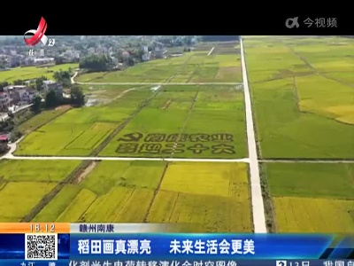 赣州南康：稻田画真漂亮 未来生活会更美