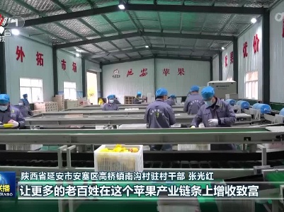 中央电视台《新闻联播》20221029