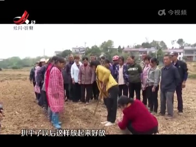 五哥帮忙团20221014