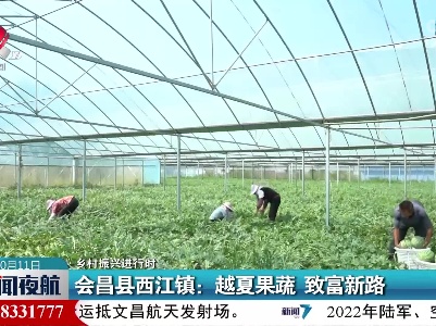 【乡村振兴进行时】会昌县西江镇：越夏果蔬 致富新路