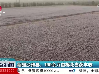 新疆沙雅县：190余万亩棉花喜获丰收