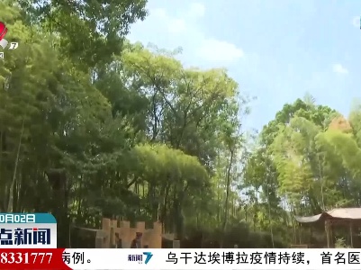 【乡村振兴进行时】横峰：打造乡村振兴新的增长极