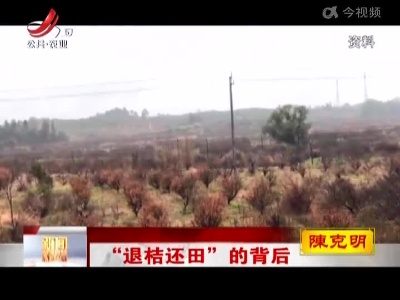 “退桔还田”的背后