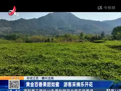 都市现场20221030