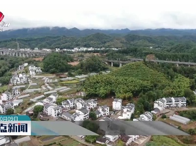【二十大代表风采】李国华：村民身边“勤务员” 乡村振兴“领头雁”