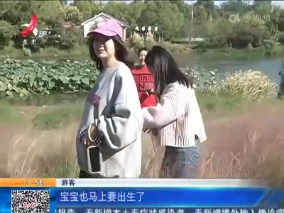 南昌：秋色如画 风景醉人