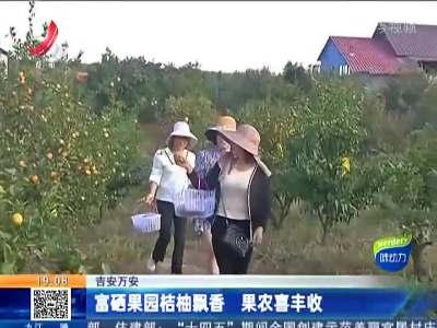 吉安万安：富硒果园桔柚飘香 果农喜丰收