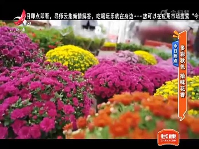 今日热点——多彩秋色 拾味花香