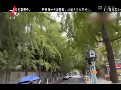 健康提醒：街边银杏果成熟 捡食有风险