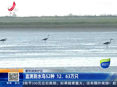 鄱阳湖保护区：监测到水鸟52种 12.63万只