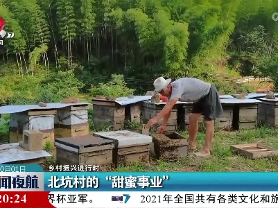 【乡村振兴进行时】北坑村的“甜蜜事业”