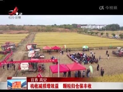 宜春高安：机收减损增效益 颗粒归仓保丰收