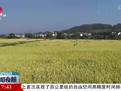 新闻夜航20221006
