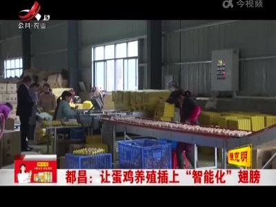 都昌：让蛋鸡养殖插上 “智能化”翅膀