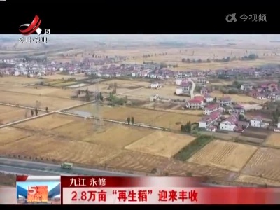九江 永修：2.8万亩“再生稻”迎来丰收
