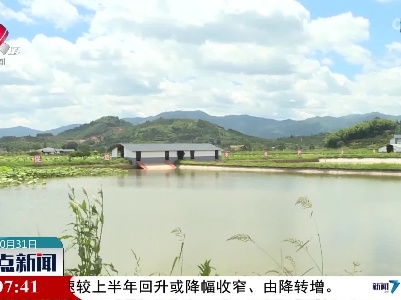 整点新闻20221031 12:00
