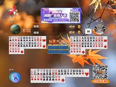 谁是赢家20221013