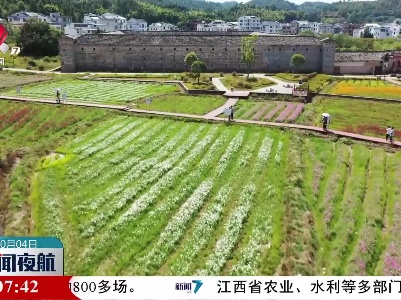 新闻夜航20221004