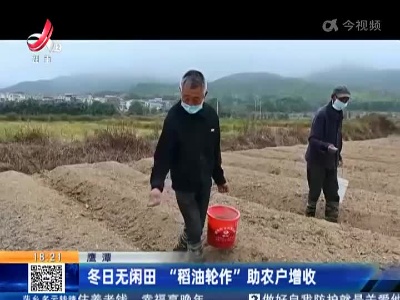 鹰潭：冬日无闲田 “稻油轮作”助农户增收