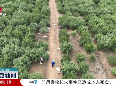 整点新闻20221028 10:00