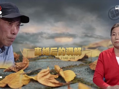 金牌调解20221124 离婚后的调解