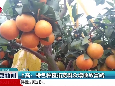 上高：特色种植拓宽群众增收致富路