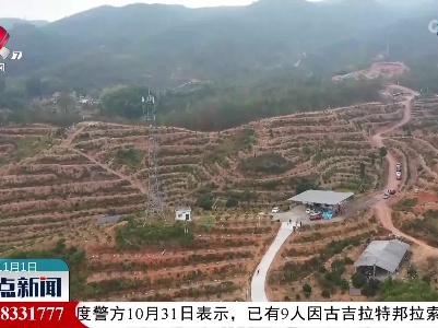 【又是一年丰收季】兴国：果冻橙成熟挂满枝 体验采摘正当时