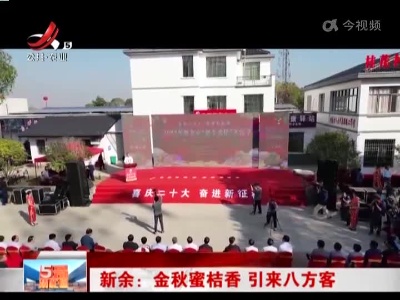 新余：金秋蜜桔香 引来八方客