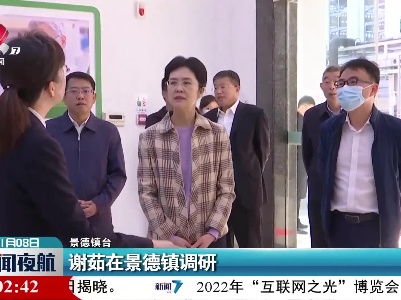 谢茹在景德镇调研