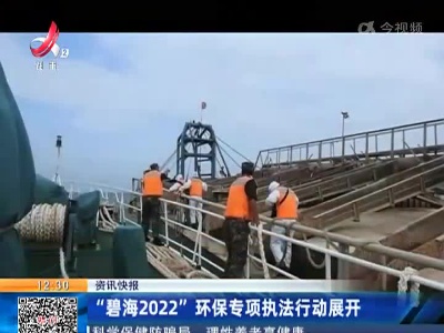 “碧海2022”环保专项执法行动展开