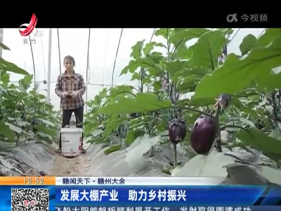 【赣闻天下】赣州大余：发展大棚产业 助力乡村振兴