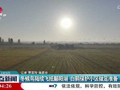 冬候鸟陆续飞抵鄱阳湖 白鹤保护小区做足准备