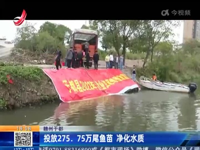 赣州于都：投放275.75万尾鱼苗 净化水质