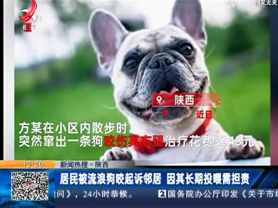 【新闻热搜】陕西：居民被流浪狗咬起诉邻居 因其长期投喂需担责