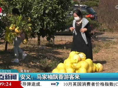安义：马家柚飘香游客来