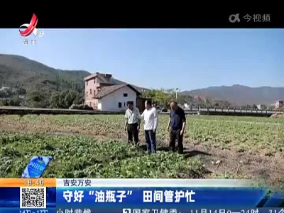 吉安万安：守好“油瓶子” 田间管护忙