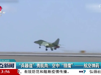 “兵器造”秀肌肉：空中“猎鹰”——航空弹药