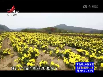 五哥帮忙团20221117