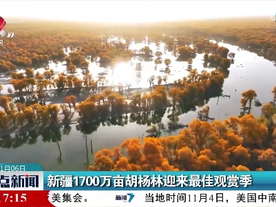 新疆1700万亩胡杨林迎来最佳观赏季