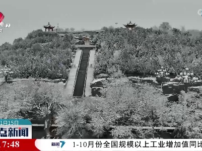 内蒙古阿拉善盟：银装素裹 梦幻如仙境