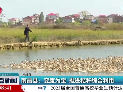 整点新闻20221116 16:00