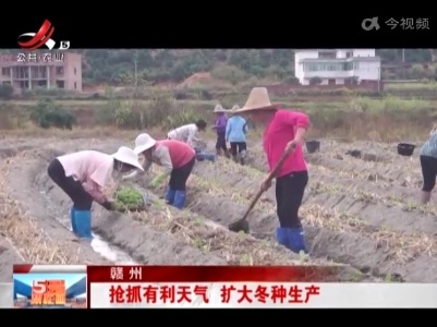 赣州：抢抓有利天气 扩大冬种生产