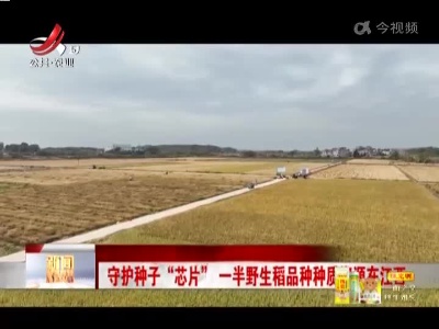 新闻晚高峰20221109