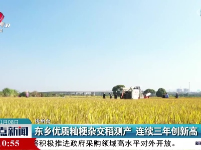 东乡优质籼粳杂交稻测产 连续三年创新高