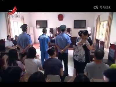 乡村栏目剧场20221114 落花不是无情物