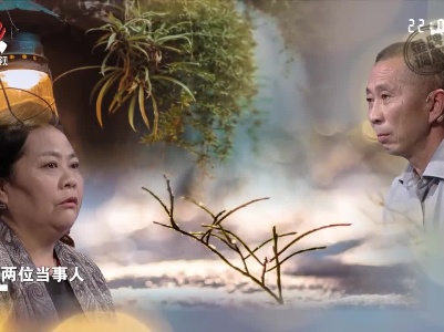 当四婚遇上二婚 都为利益赴婚姻